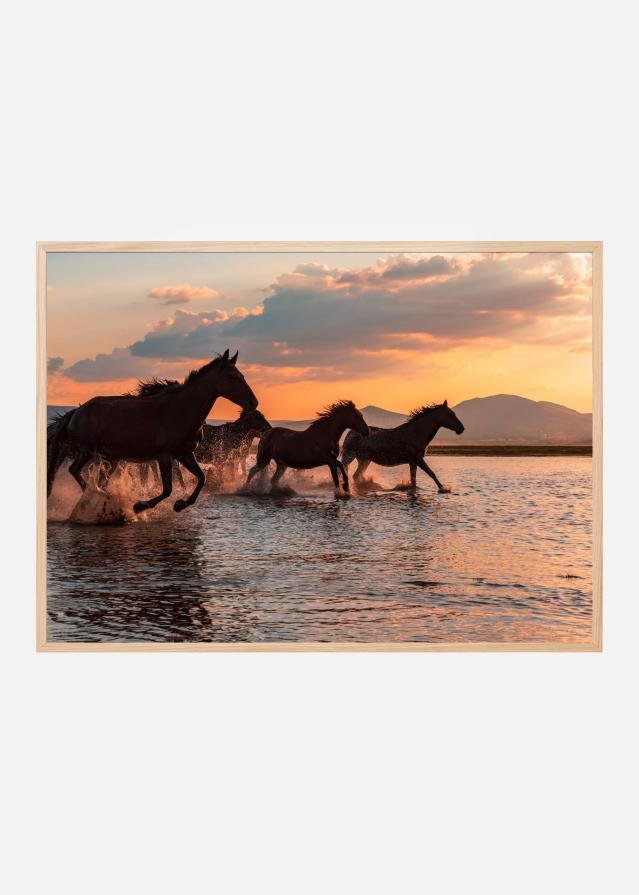 WATER HORSES Juliste