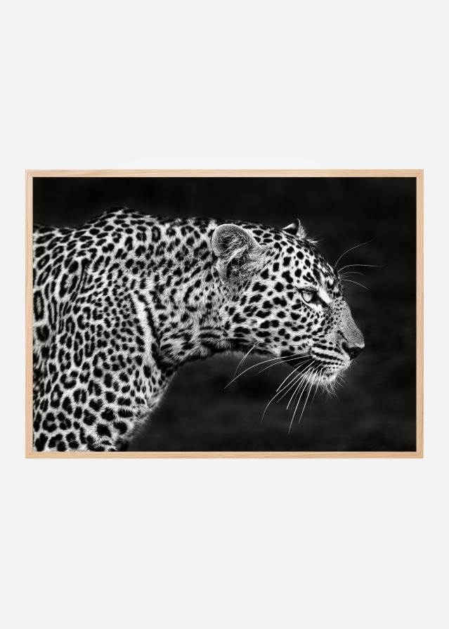 Leopard Close Up Juliste