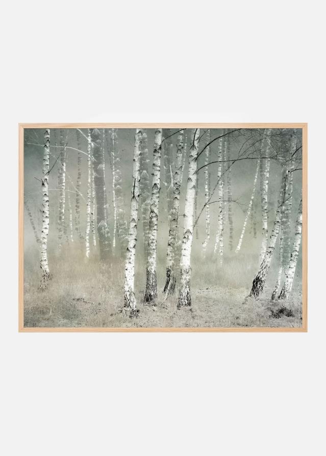 Morning silence Juliste