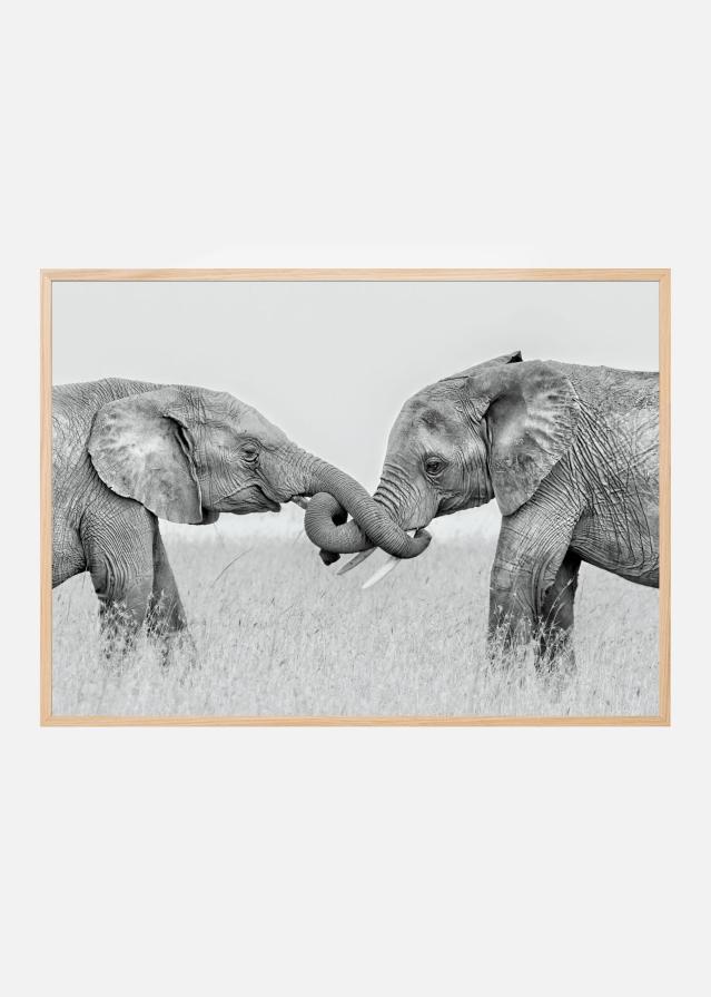 Confrontation Juliste