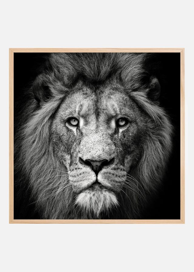 Stare Me Down #3 Juliste