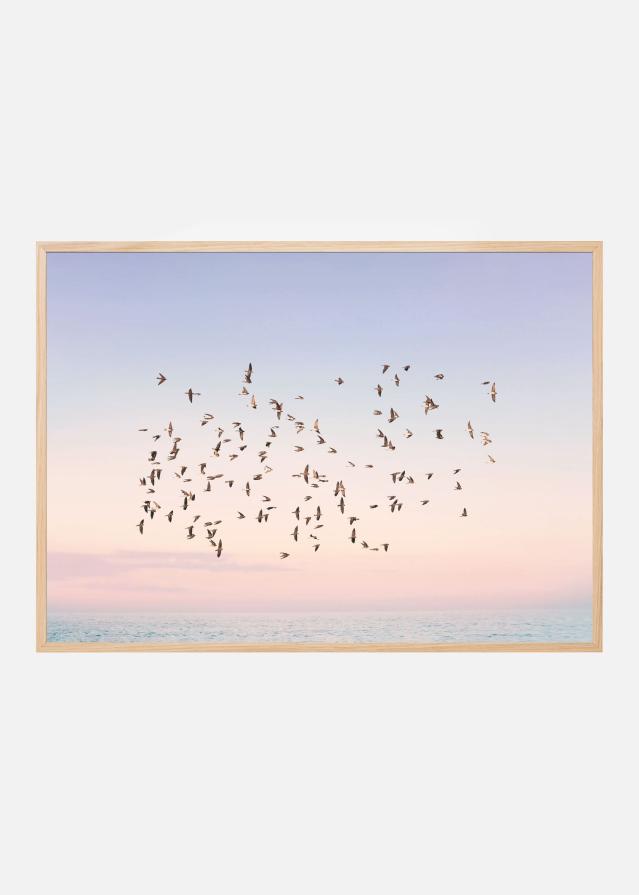 Sunset Flight Juliste