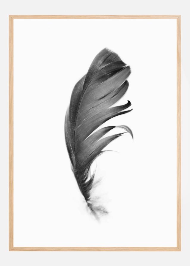 Feather Juliste