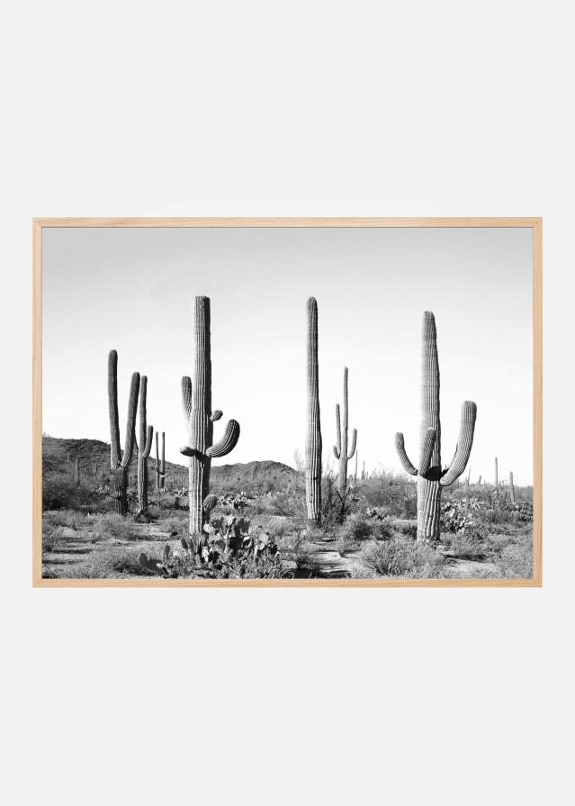 Grey Cactus Land Juliste