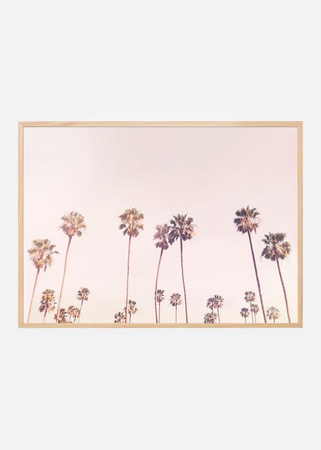Sunny Cali Palm Trees Juliste