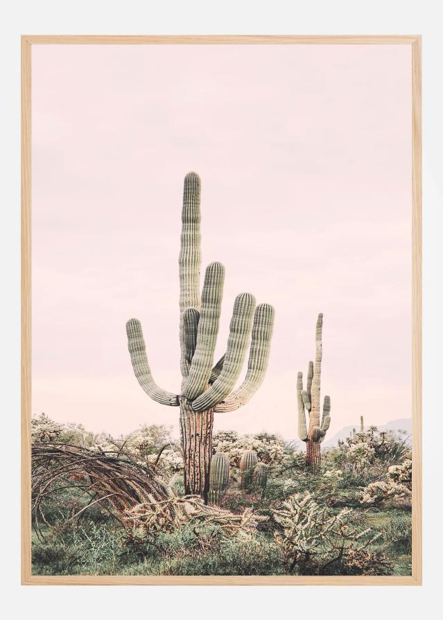 Pink Saguaro Juliste