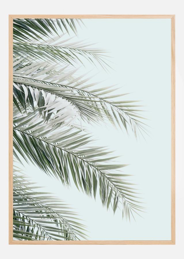 Blue Palms Juliste