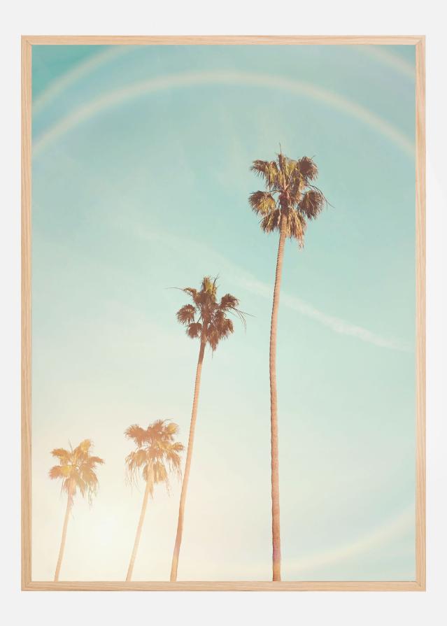 Sunny Cali Palm Tree Juliste