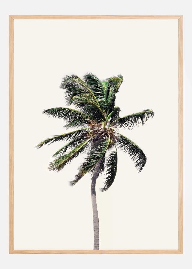 Windy Palm Tree Juliste