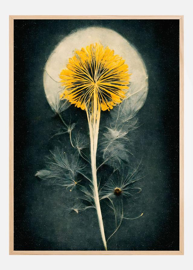Dandelion Juliste