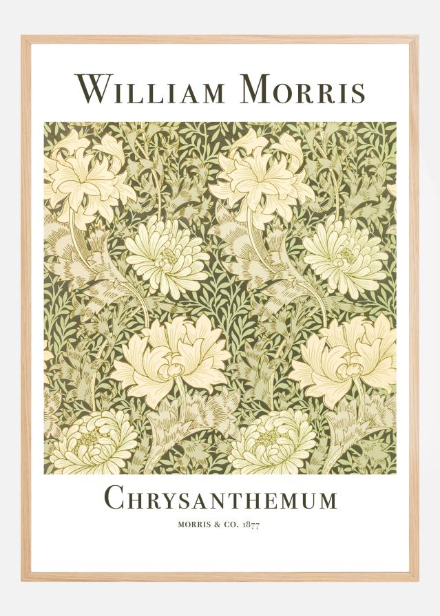 Chrysanthemum Juliste