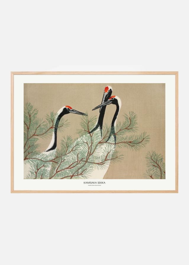 Cranes From Momoyogusa Juliste