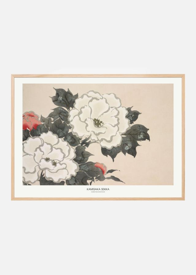 Flowers From Momoyogusa Juliste