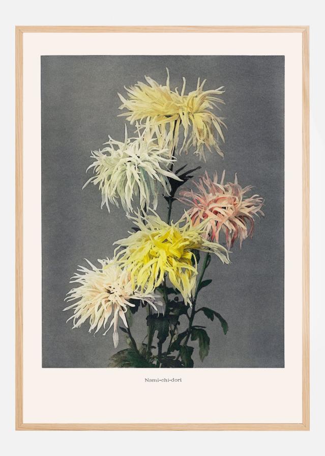 Namiachiadori Juliste