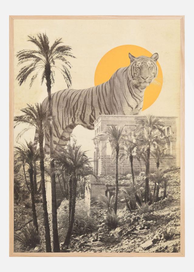 Giant Tiger In Ruins Juliste