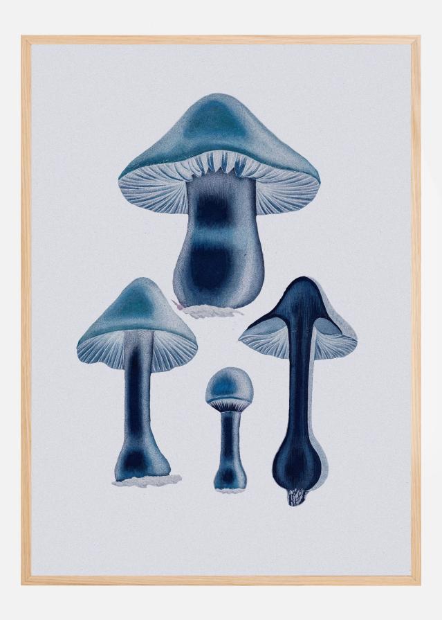 Agaricus Bulbosus - Blue Juliste