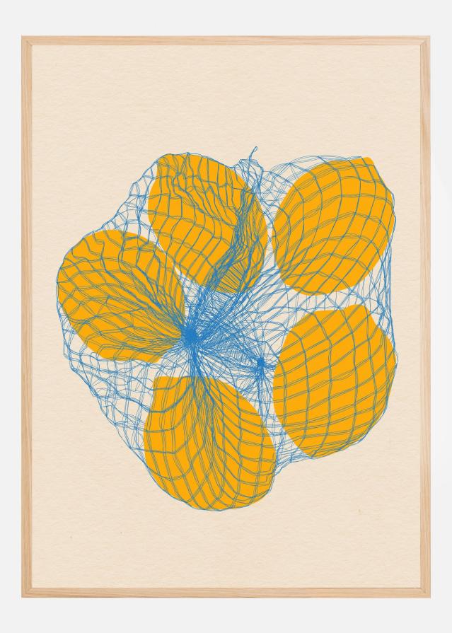 Five Lemons In a Net Bag Juliste