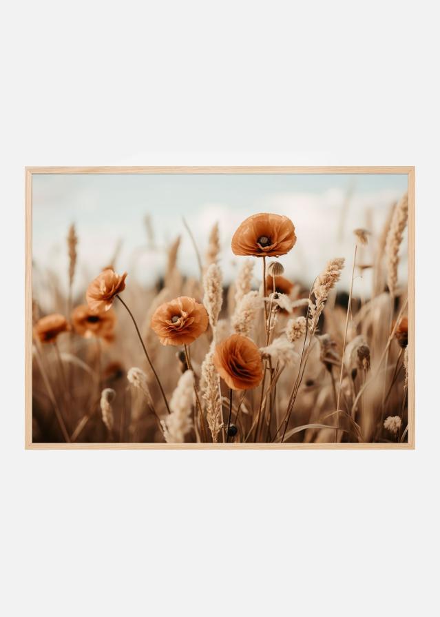 Orange Poppy Field Juliste
