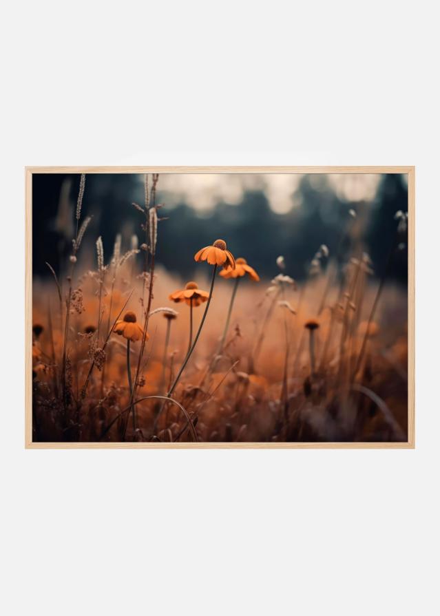 Orange Margarites Juliste