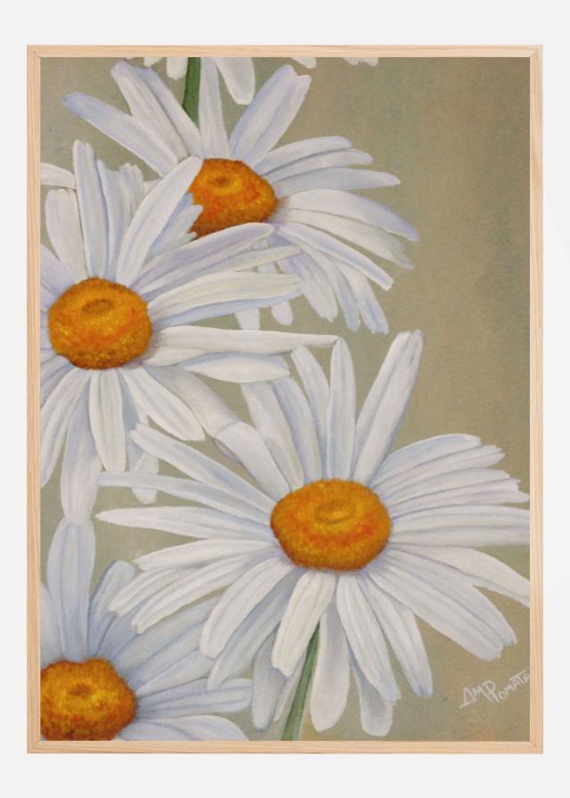 White Daisies Juliste