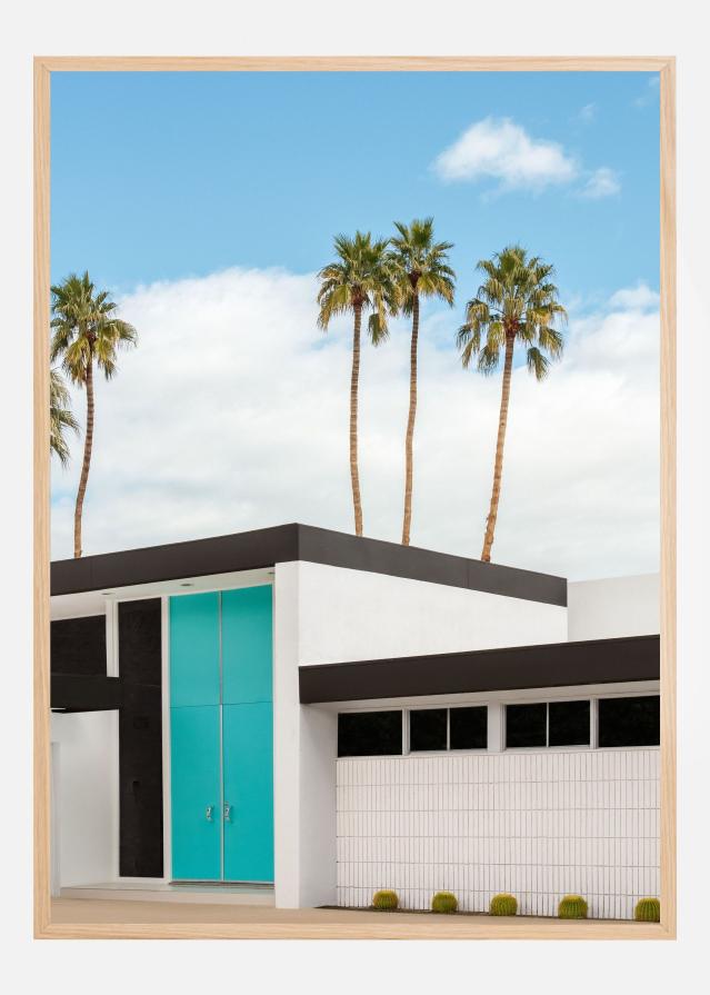 Turquoise Blue Doors on a Modern Home Juliste