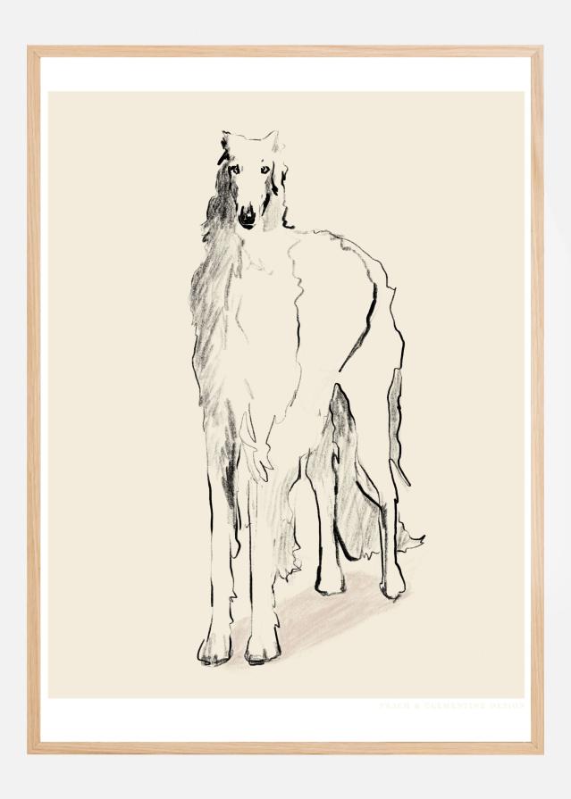 Borzoi Russian Wolfhound Pandc Juliste