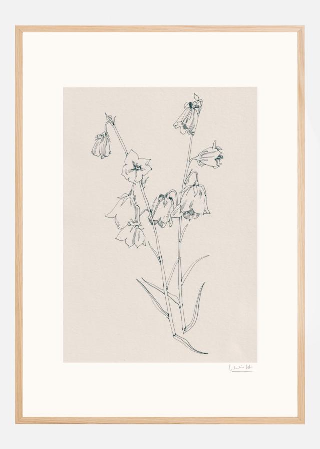 Bellflowers ink drawing Juliste