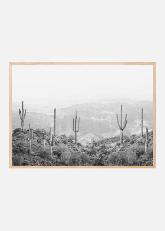 Western Cactus Juliste