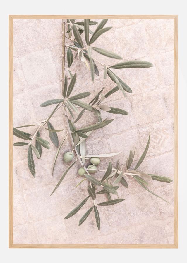 Spanish Tiles Juliste