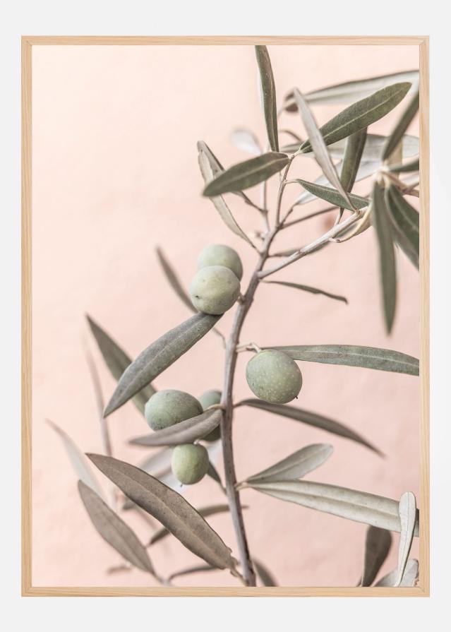 Olives Juliste