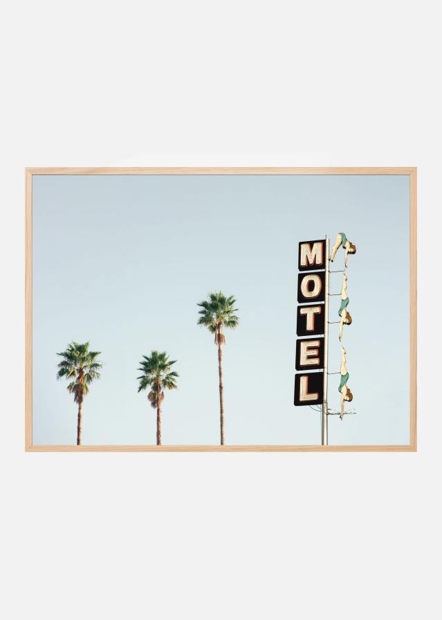 Diving Ladies Juliste