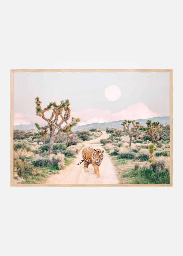 Wandering Tiger Juliste