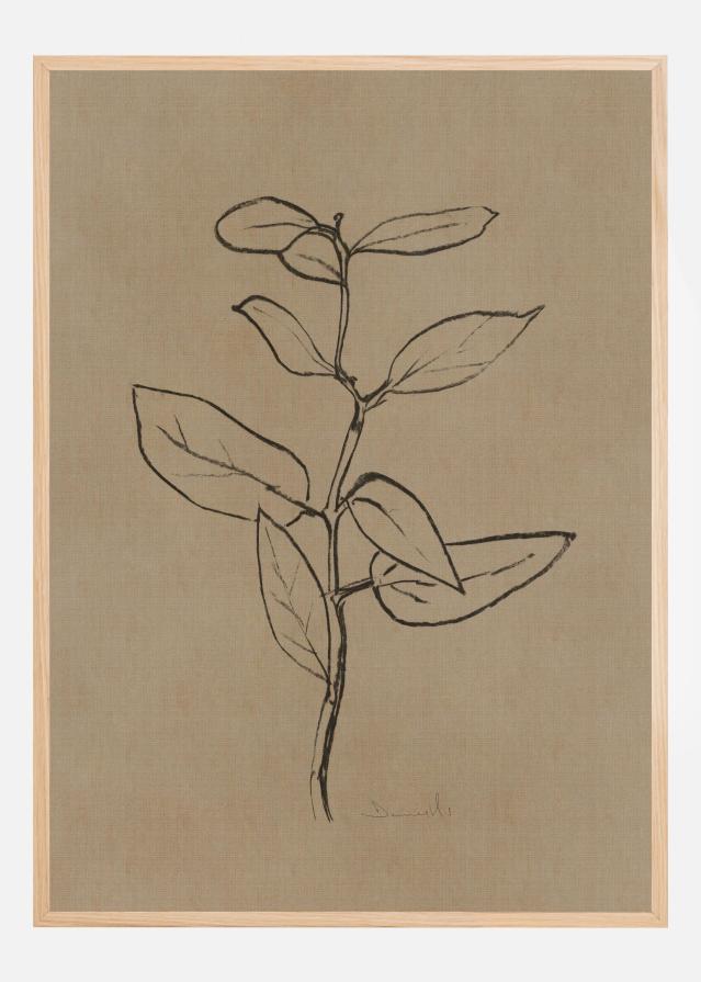 Eucalyptus Sapling Juliste