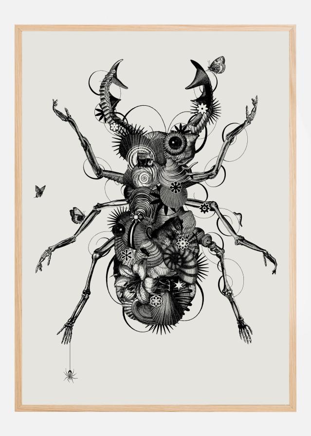 Stagbeetle Juliste