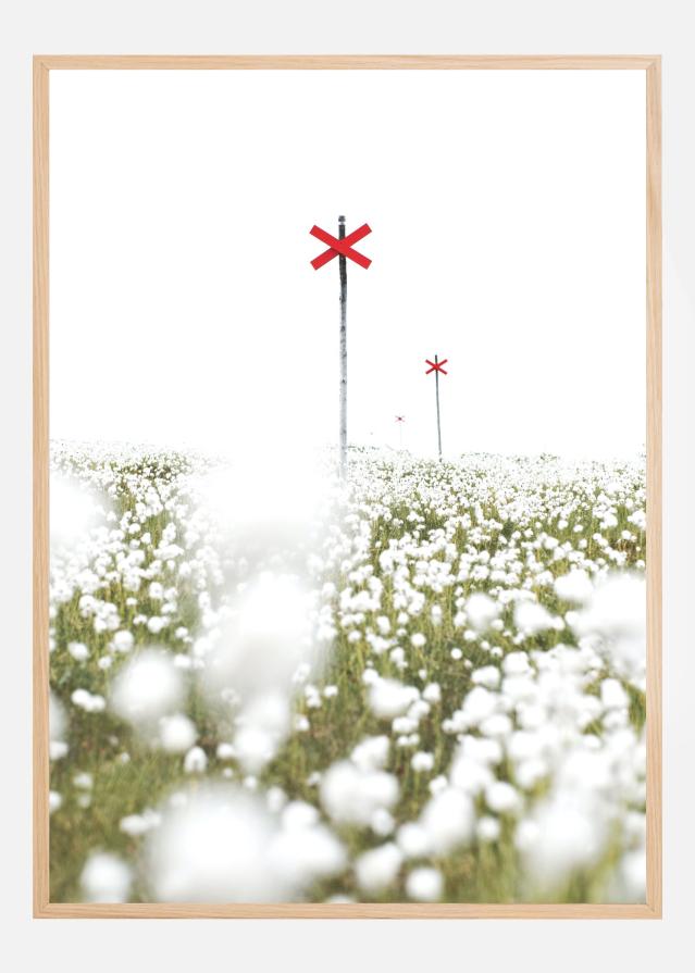 Red marks in a field of white Juliste