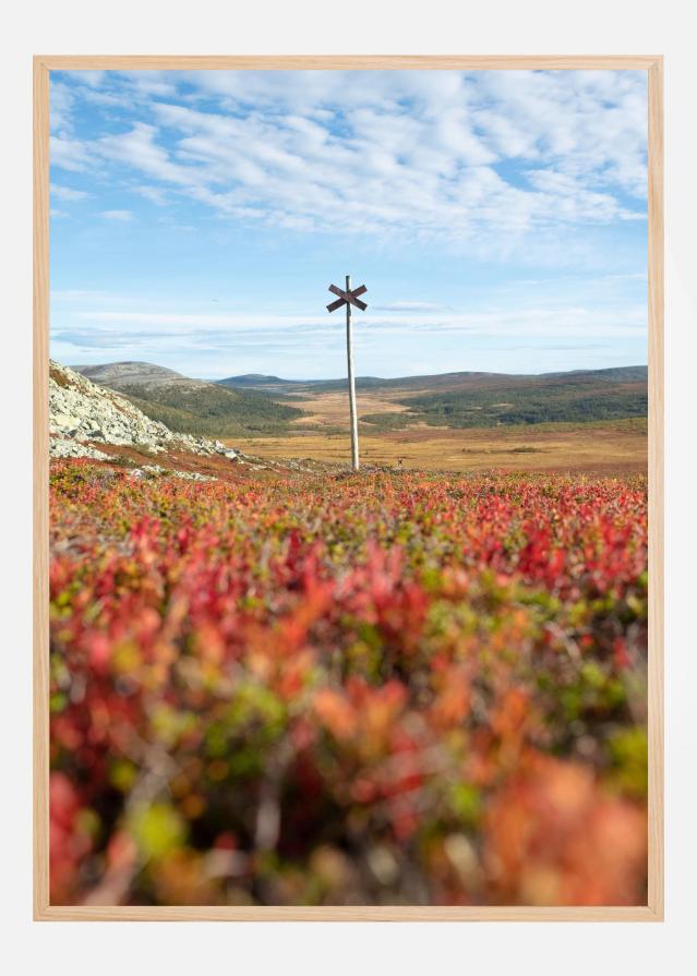 Summer ridge waypoint Juliste