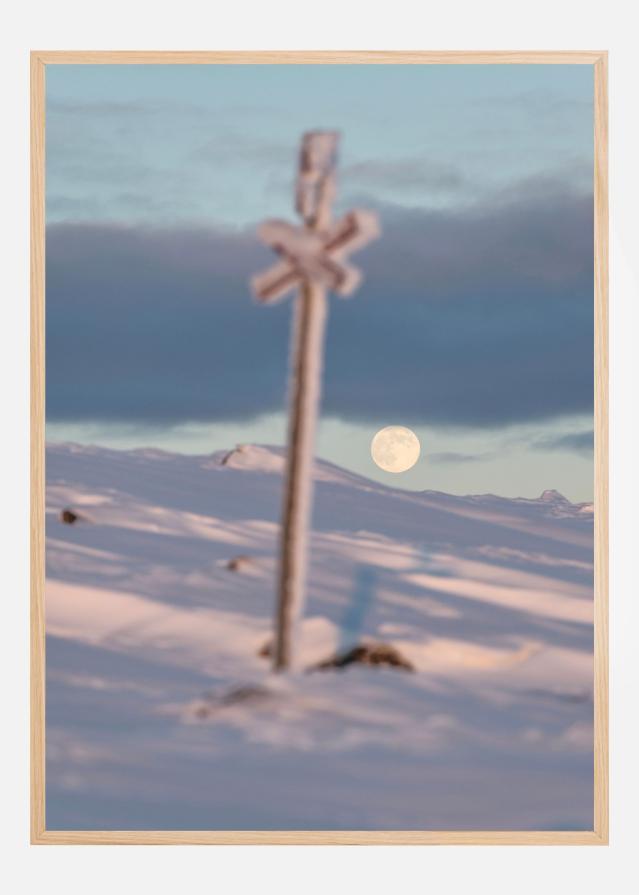 Moonlight trailmarker Juliste