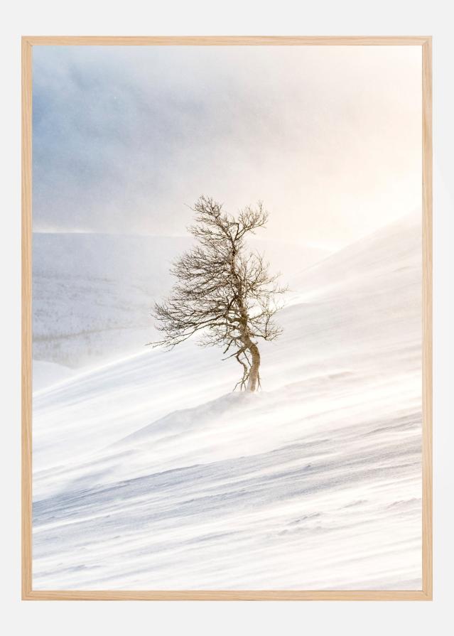 Tree of the frozen wind Juliste