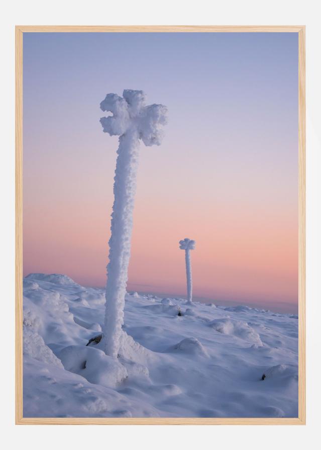 Winter blossoms Juliste