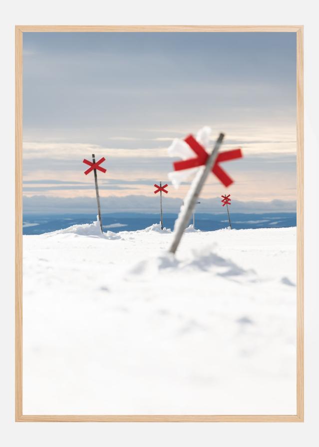 Red signs in the silence Juliste