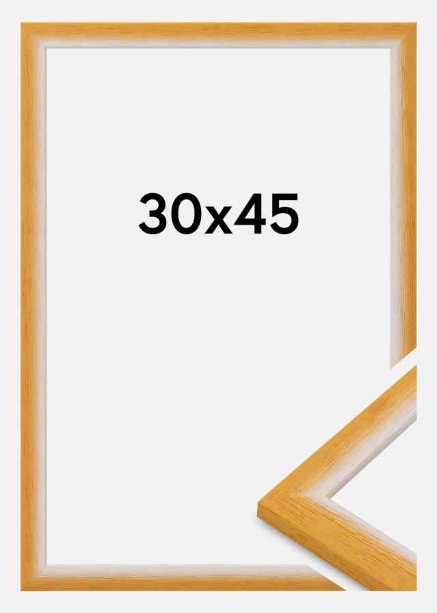 Kehys Cornwall Akryylilasi Kulta 30x45 cm