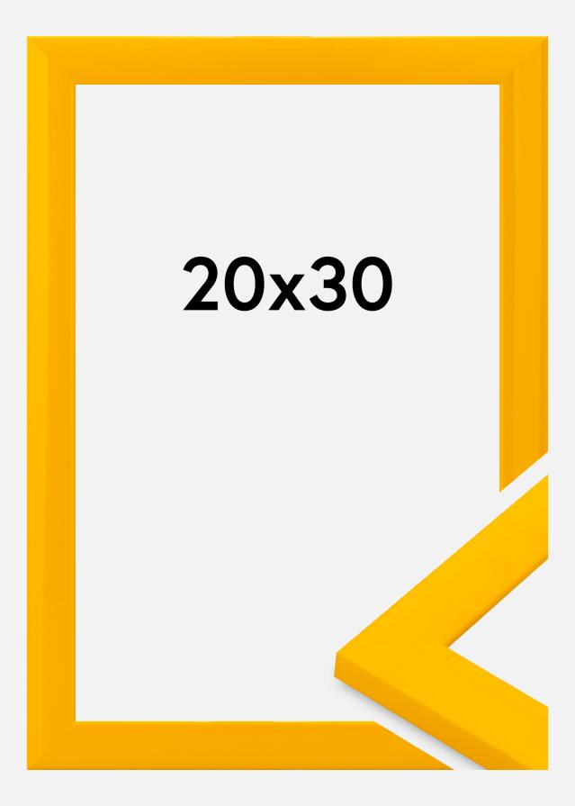 Kehys Dorset Akryylilasi Kulta 20x30 cm