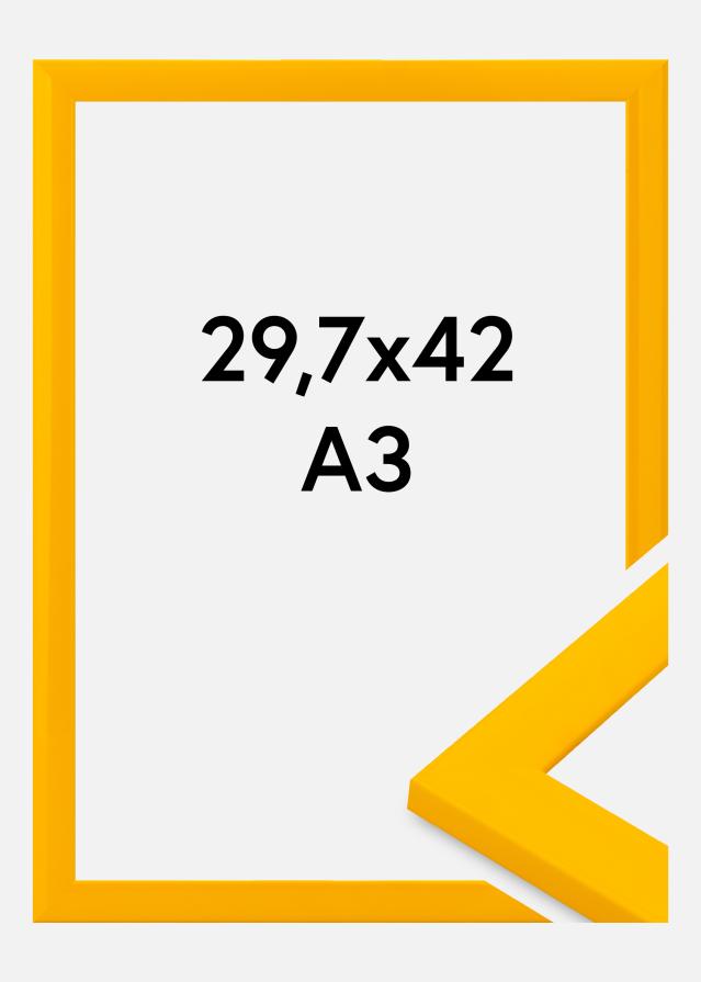 Kehys Dorset Akryylilasi Kulta 29.7x42 cm (A3)