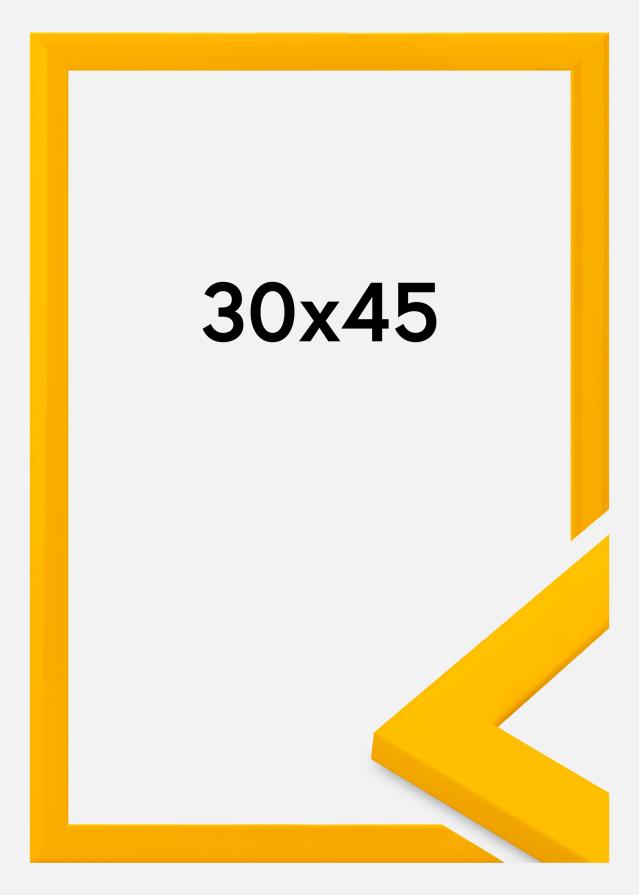 Kehys Dorset Akryylilasi Kulta 30x45 cm