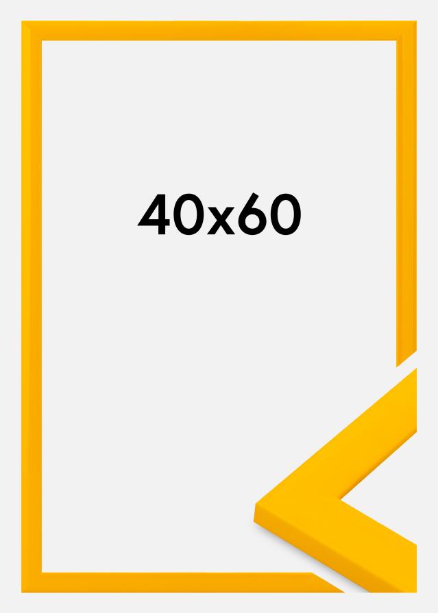 Kehys Dorset Akryylilasi Kulta 40x60 cm