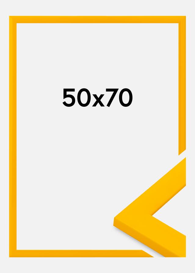 Kehys Dorset Akryylilasi Kulta 50x70 cm