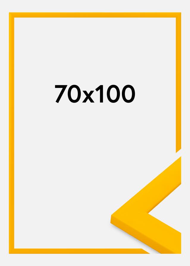 Kehys Dorset Akryylilasi Kulta 70x100 cm