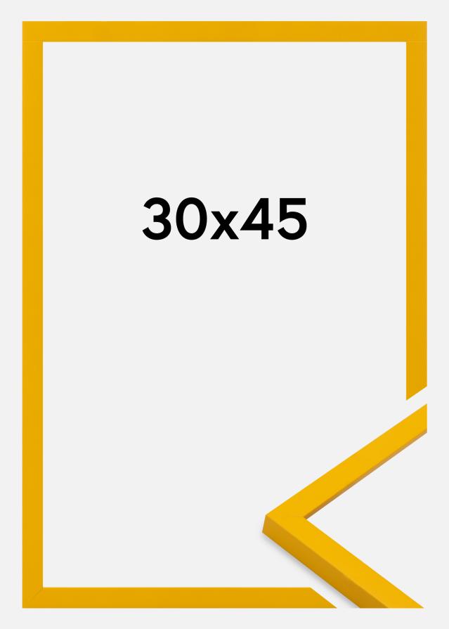 Kehys Kent Akryylilasi Kulta 30x45 cm