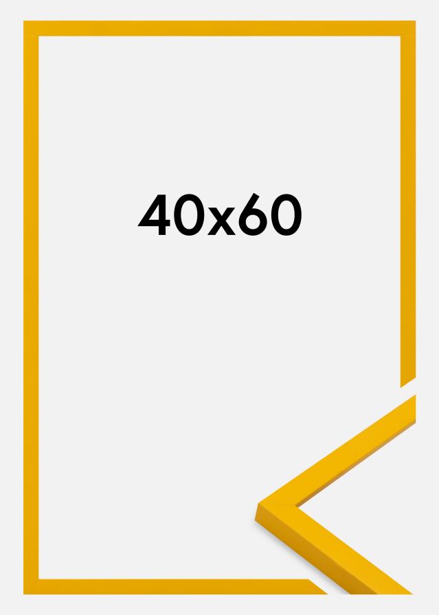 Kehys Kent Akryylilasi Kulta 40x60 cm