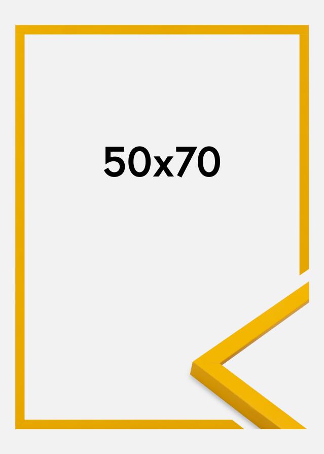 Kehys Kent Akryylilasi Kulta 50x70 cm